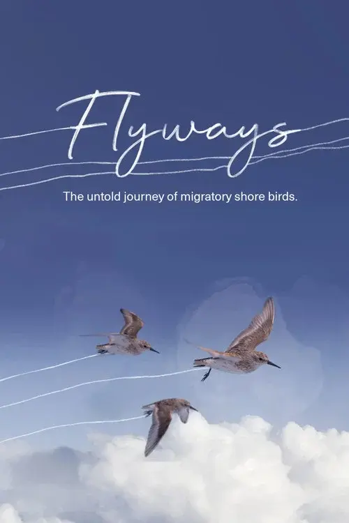 Flyways: The Untold Journey of Migratory Shorebirds poster