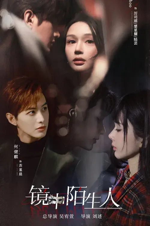 The Stranger in the Mirror poster