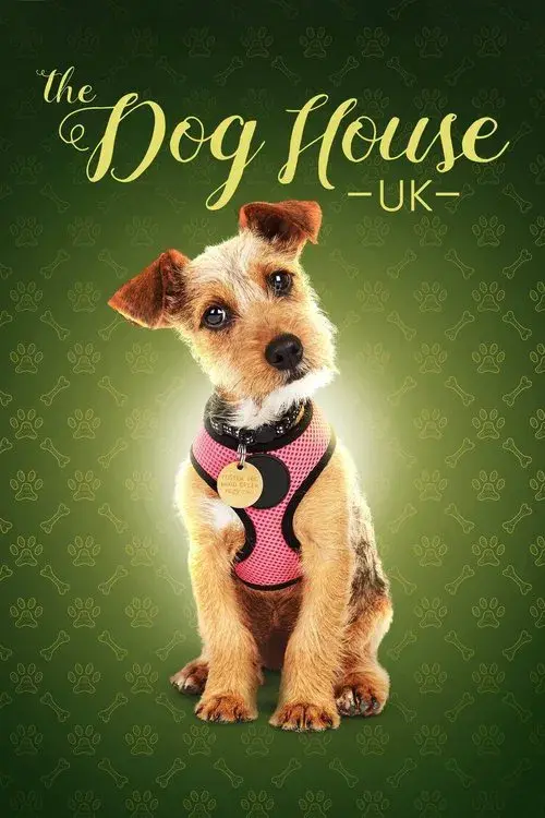 The Dog House poster