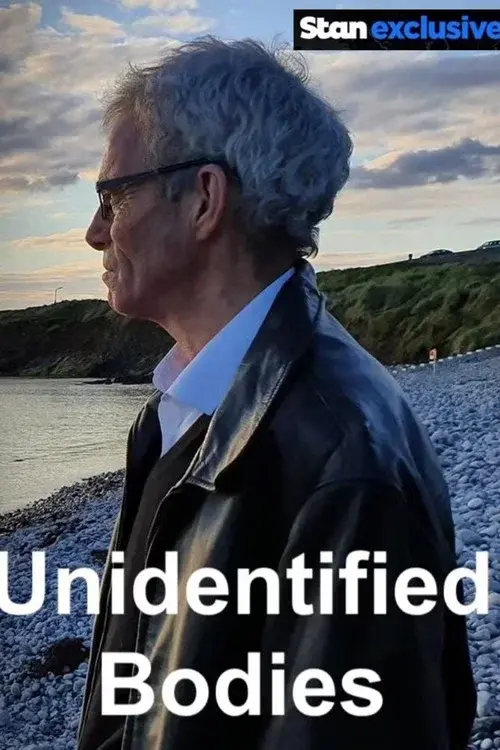 Ireland's Unidentified Bodies poster