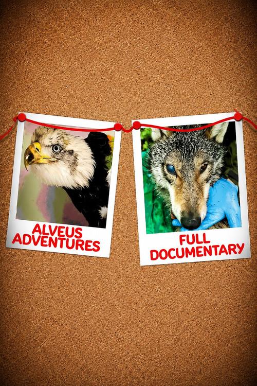 Alveus Adventures poster