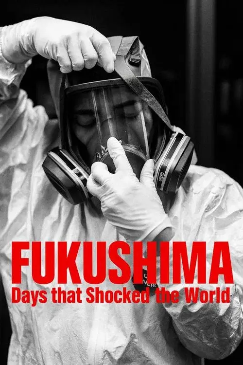 Fukushima: Days That Shocked the World poster