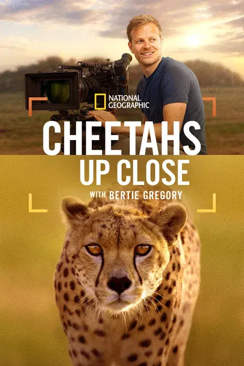 Cheetahs Up Close with Bertie Gregory poster