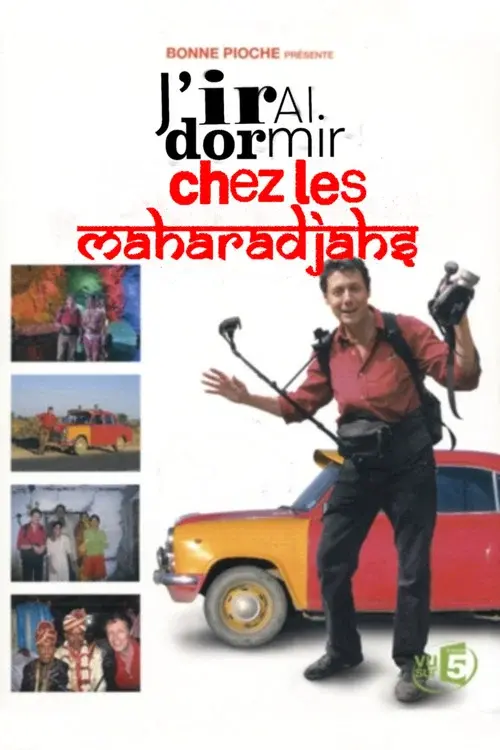 J'irai dormir chez les Maharadjahs poster