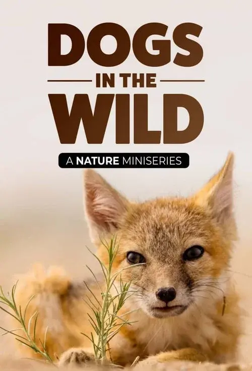 Dogs in the Wild: Meet the Family poster