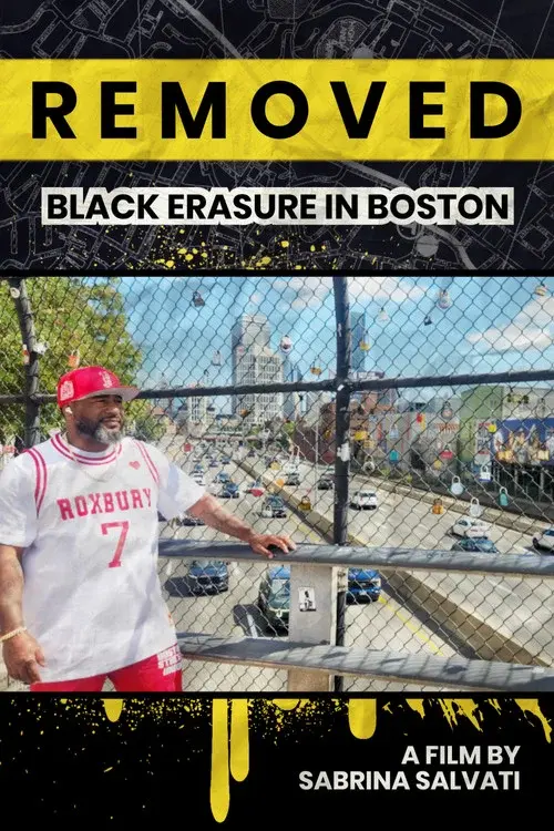 REMOVED: Black Erasure in Boston poster