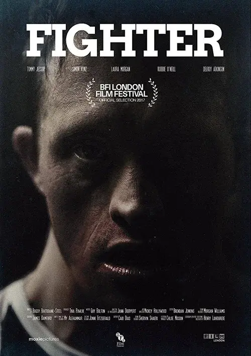 Fighter poster