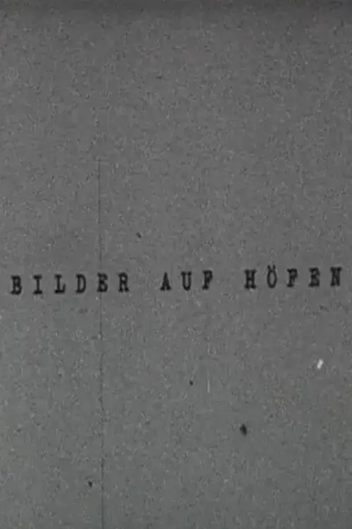 Bilder auf Höfen poster
