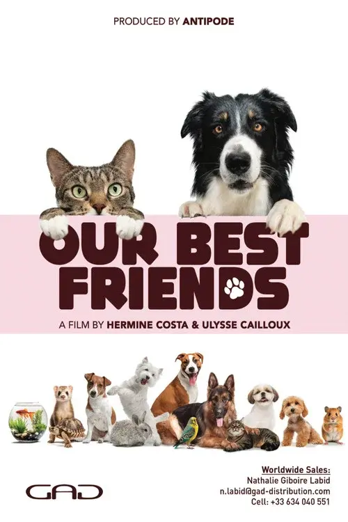 Nos très chers animaux poster