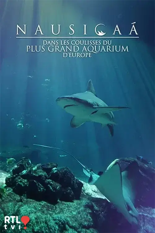 Nausicaá : Dans les coulisses du plus grand aquarium d'Europe poster