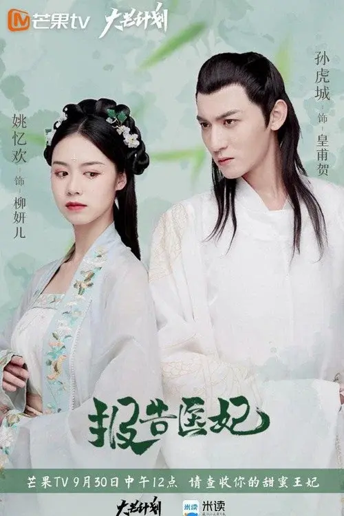 Doctor Princess poster