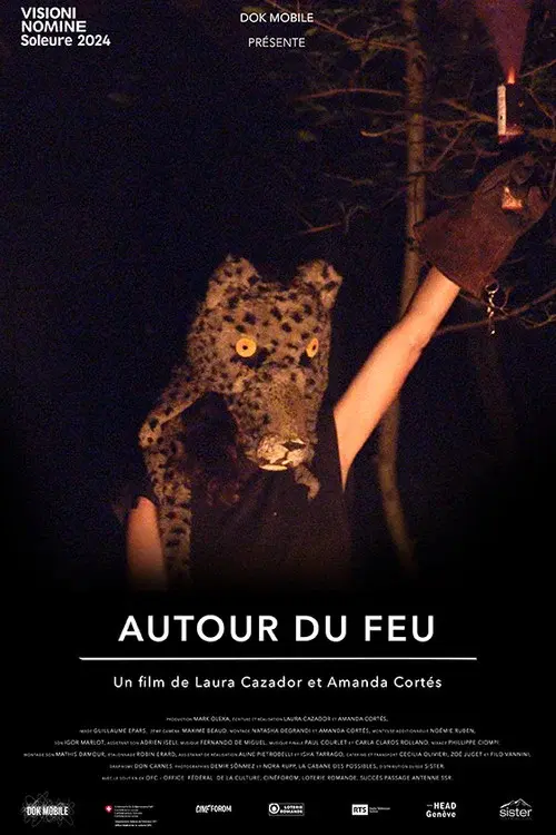About Fire poster