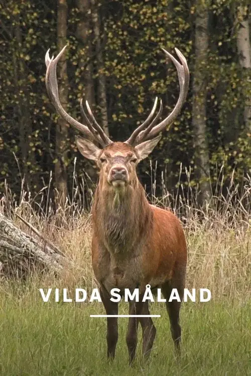 Småland - Sweden's Wild South poster