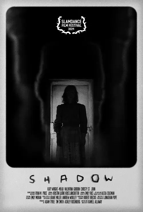 Shadow poster