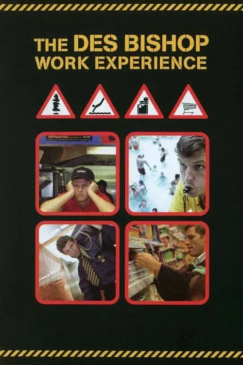 The Des Bishop Work Experience poster