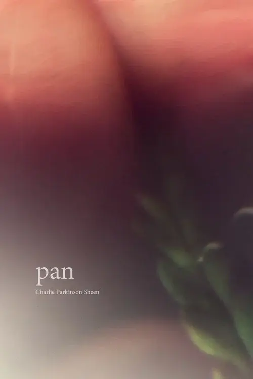 Pan poster