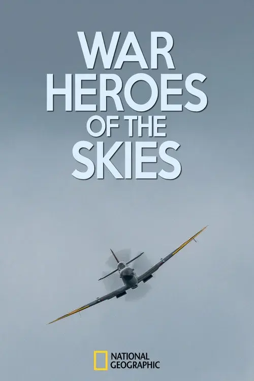 War Heroes of the Skies poster