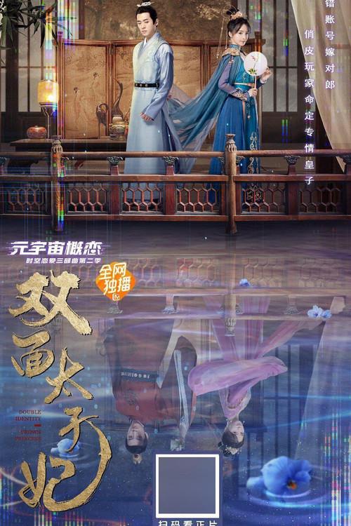 Double Identity Crown Princess poster