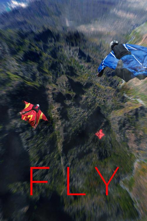 Fly poster