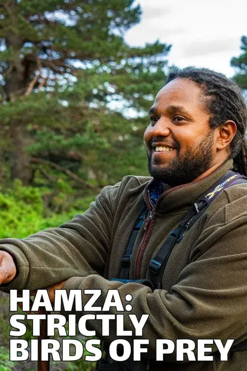 Hamza: Strictly Birds of Prey poster
