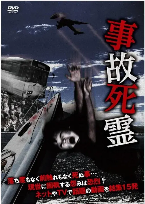 Accidental Dead Spirits poster