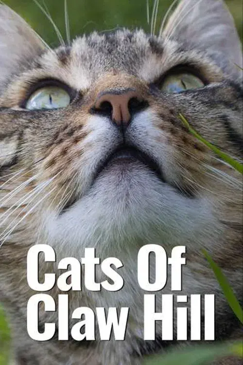 Cats of Claw Hill poster