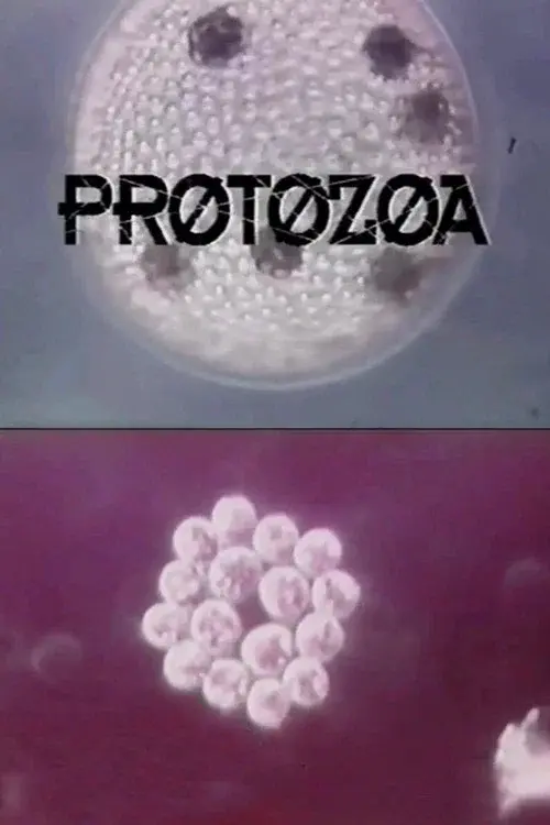 Protozoa poster