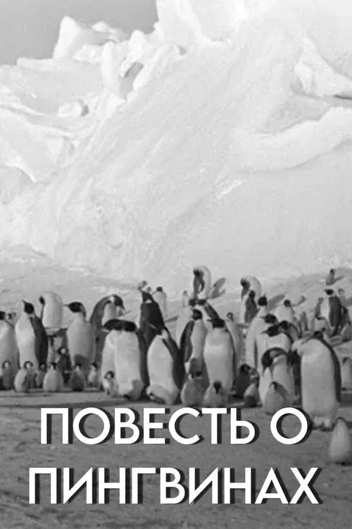 Tale of the Penguins poster