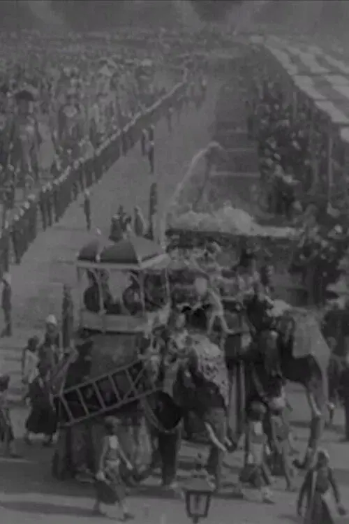 Delhi Durbar poster