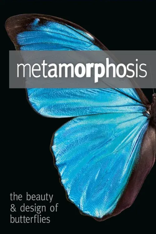 Metamorphosis: The Design and Beauty of Butterflies poster