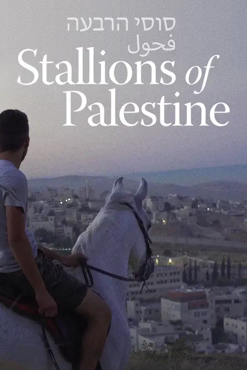 Stallions of Palestine poster