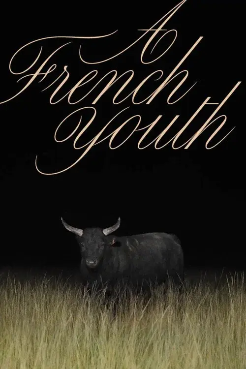 A French Youth poster