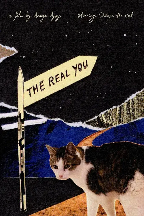 The Real You poster