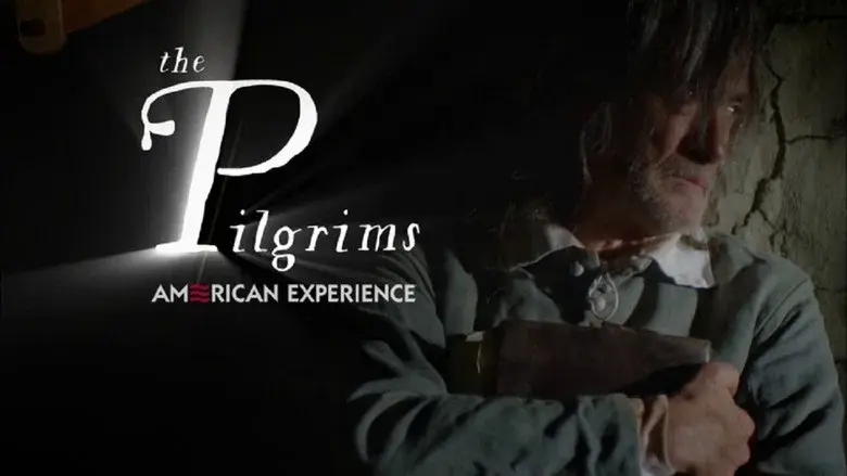The Pilgrims still 1
