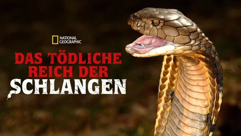 World's Deadliest Snakes still 8