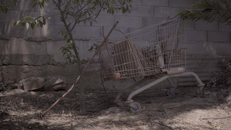 Dream still 8