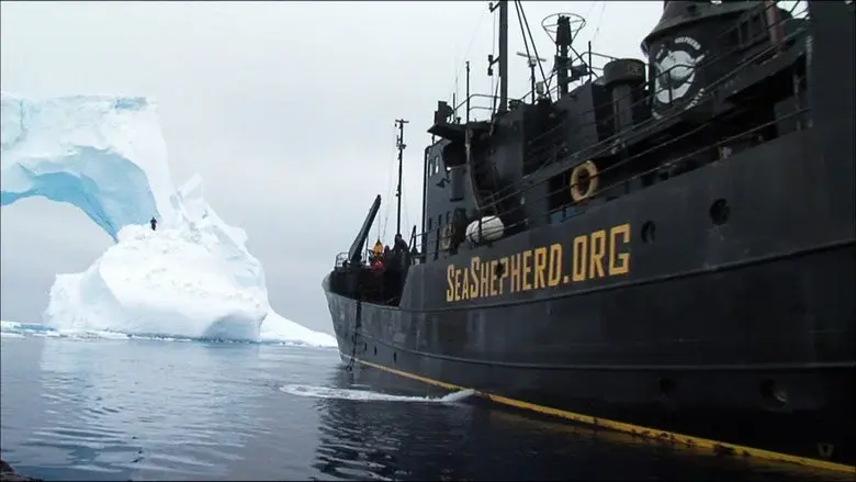 At the Edge of the World still 4