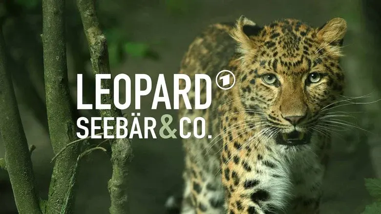 Leopard, Seebär & Co. still 1
