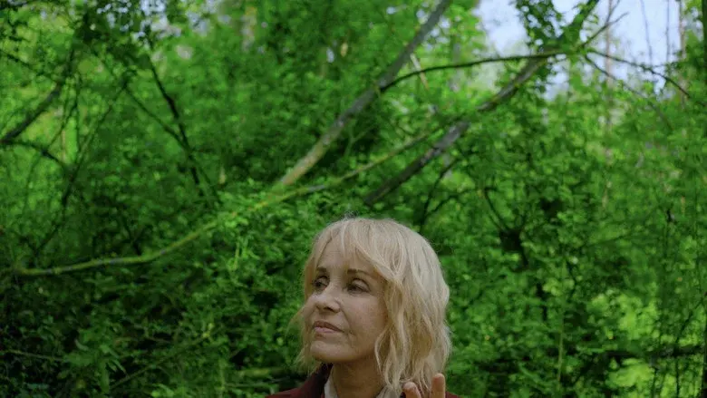 Le Liechi still 1