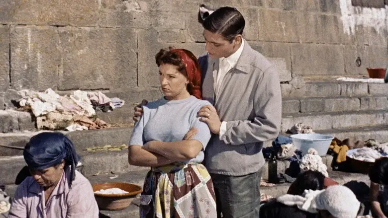 The Little Bird of Ribeira still 1
