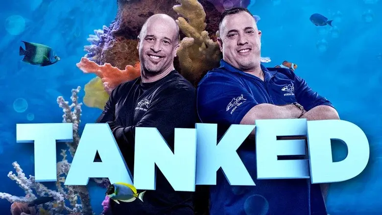 Tanked still 6