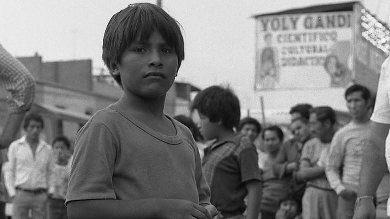 Gregorio still 7
