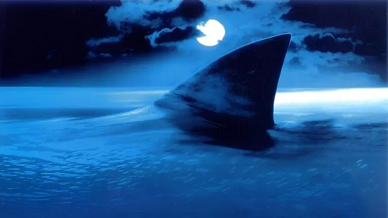 Shark Attack still 4