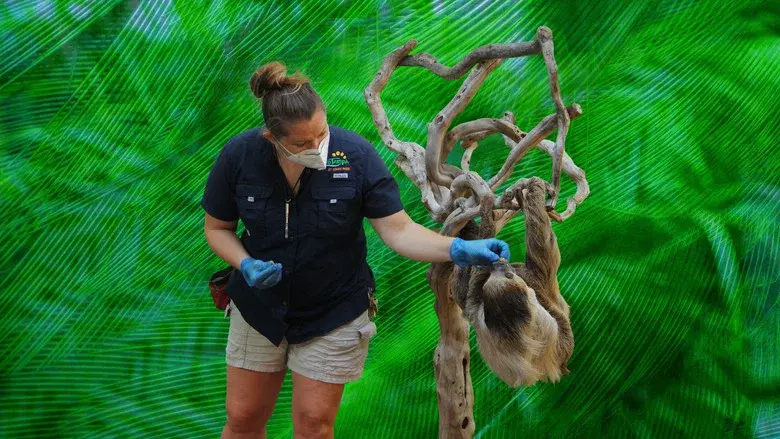 Secrets of the Zoo: Tampa still 6
