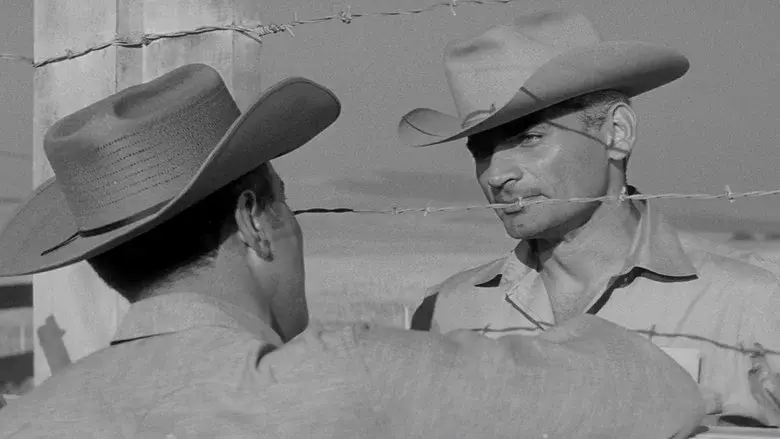 Man in the Shadow still 8