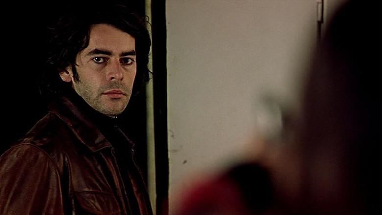 Wolf still 1
