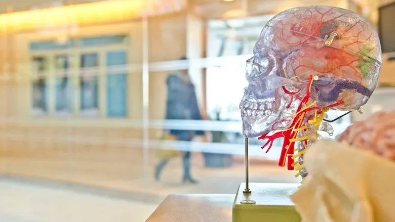 Secrets of the Brain still 1