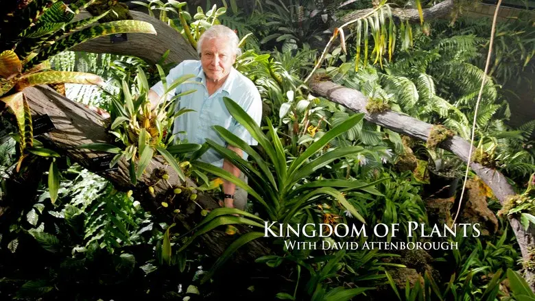 Kingdom of Plants still 6