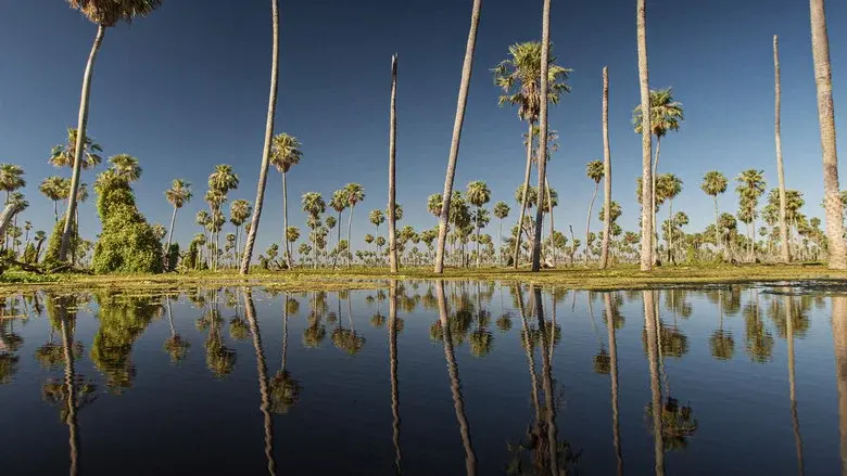 Wild Argentina still 3