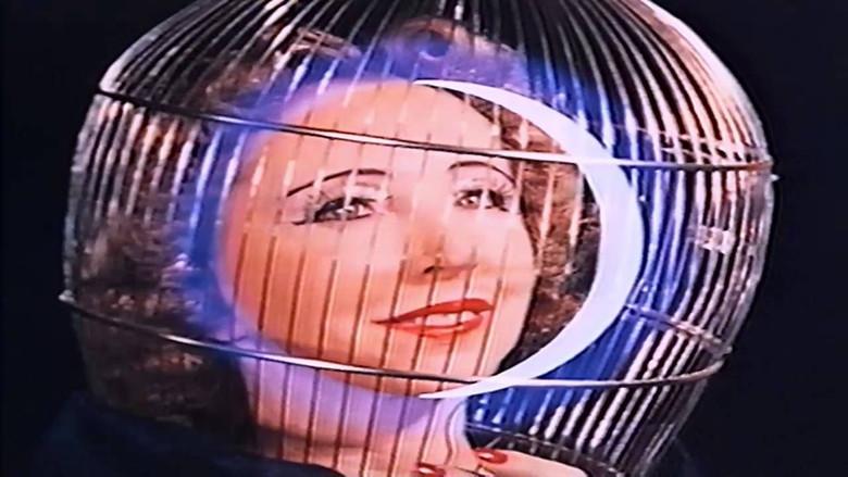 The Inauguration of the Pleasure Dome still 3